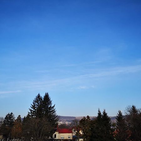 Villa-Hotel Escala Cluj-Napoca Eksteriør bilde